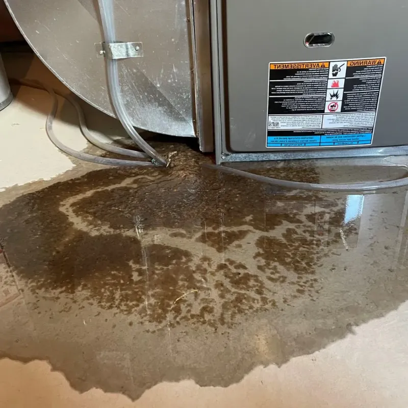 Pipe Burst and Leak Restoration in Rosebud County, MT