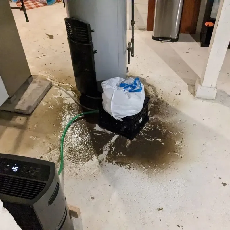 Sewage Backup Cleanup Service in Rosebud County, MT